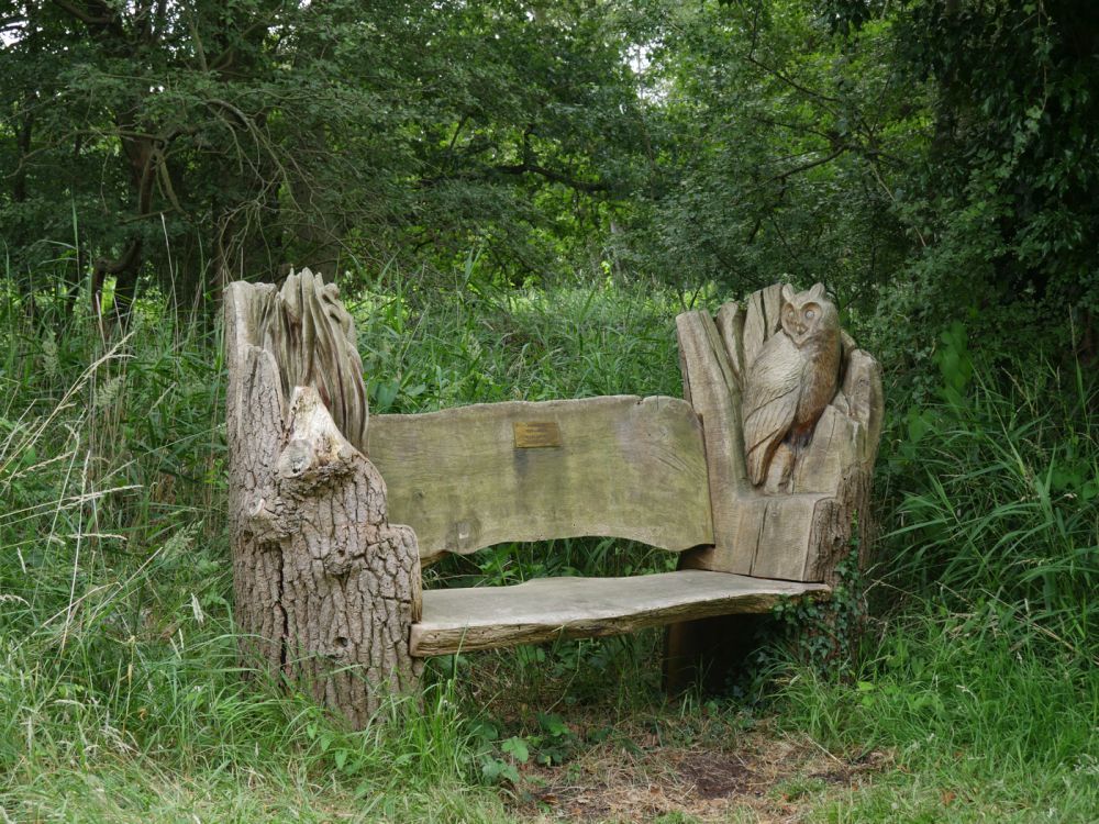 Holme Fen NNR contains birch woodland, heathland and acid grassland (Peterborough, Cambridgeshire)