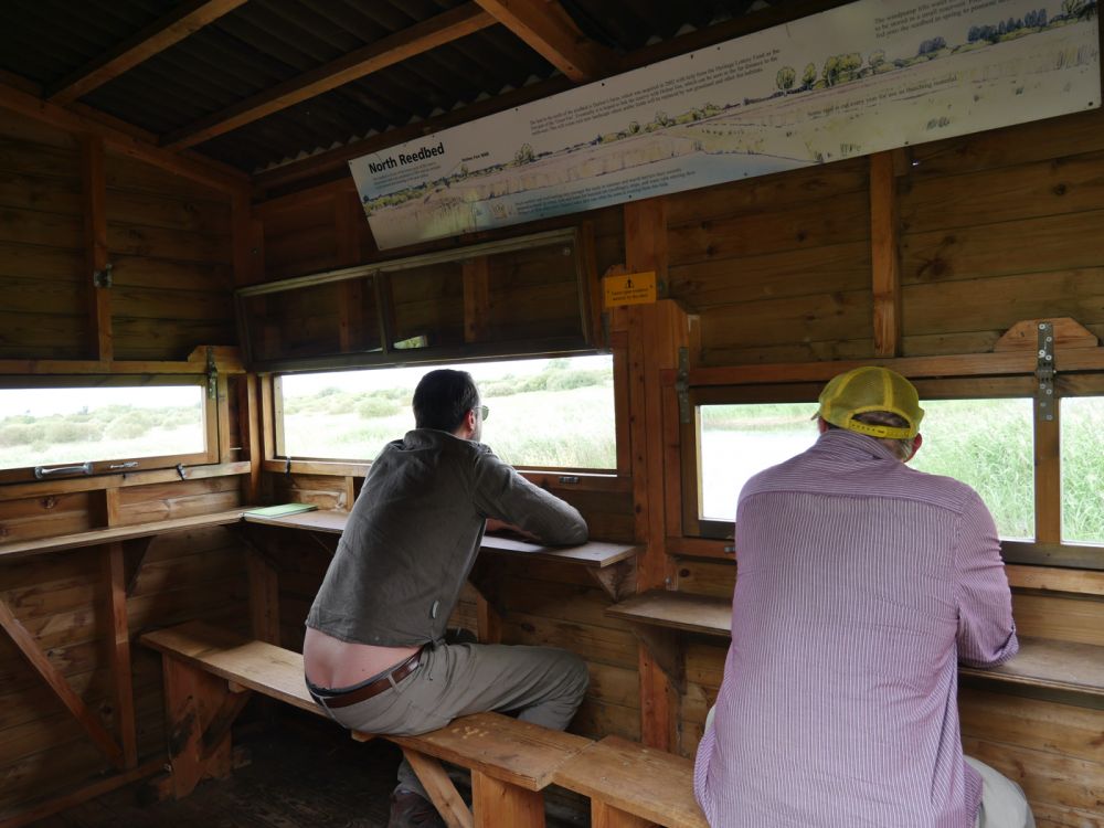 Holme Fen NNR contains birch woodland, heathland and acid grassland (Peterborough, Cambridgeshire)