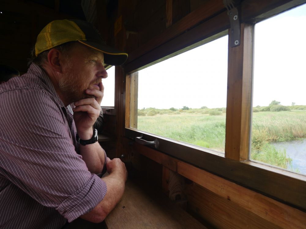 Holme Fen NNR contains birch woodland, heathland and acid grassland (Peterborough, Cambridgeshire)
