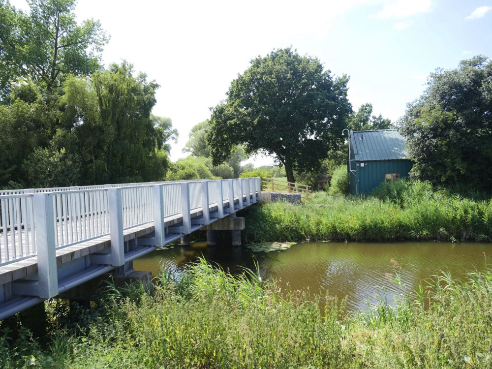 Holme Fen NNR contains birch woodland, heathland and acid grassland (Peterborough, Cambridgeshire)