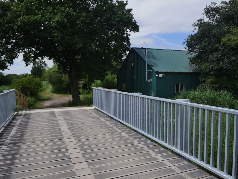 Holme Fen NNR contains birch woodland, heathland and acid grassland (Peterborough, Cambridgeshire)