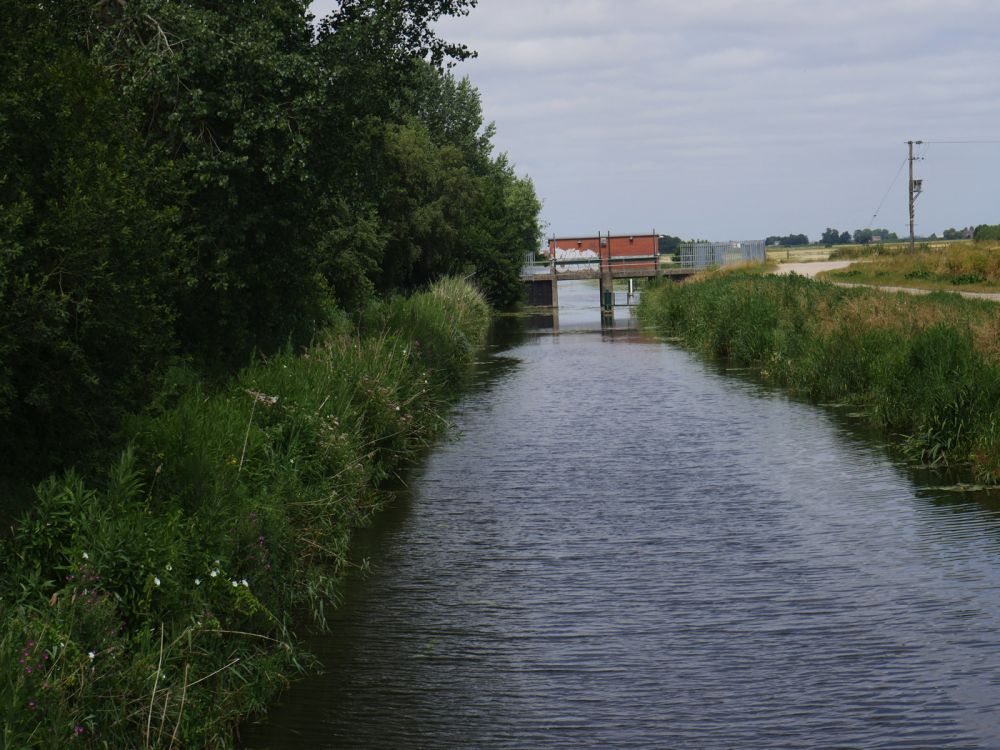 Holme Fen NNR contains birch woodland, heathland and acid grassland (Peterborough, Cambridgeshire)