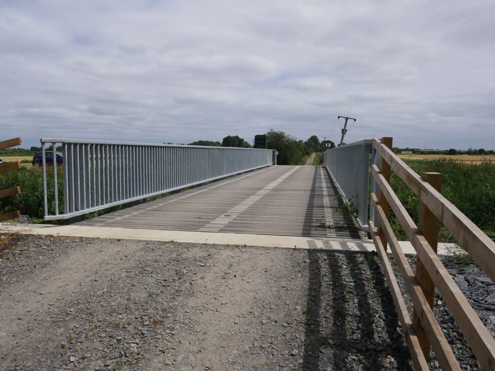 Holme Fen NNR contains birch woodland, heathland and acid grassland (Peterborough, Cambridgeshire)