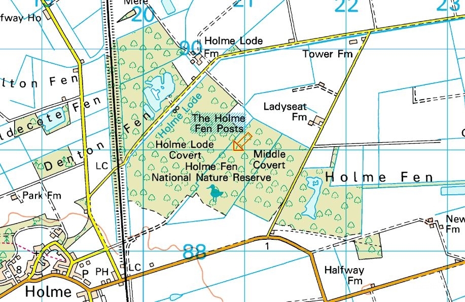 Holme Fen NNR contains birch woodland, heathland and acid grassland (Peterborough, Cambridgeshire)