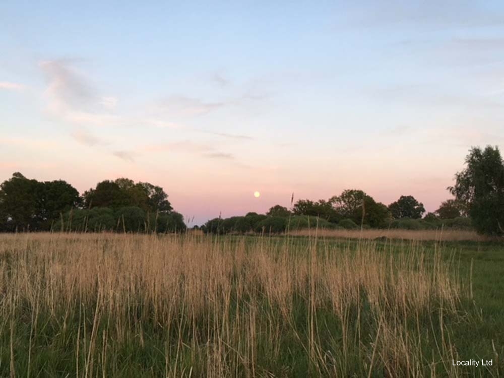 Holme Fen NNR contains birch woodland, heathland and acid grassland (Peterborough, Cambridgeshire)