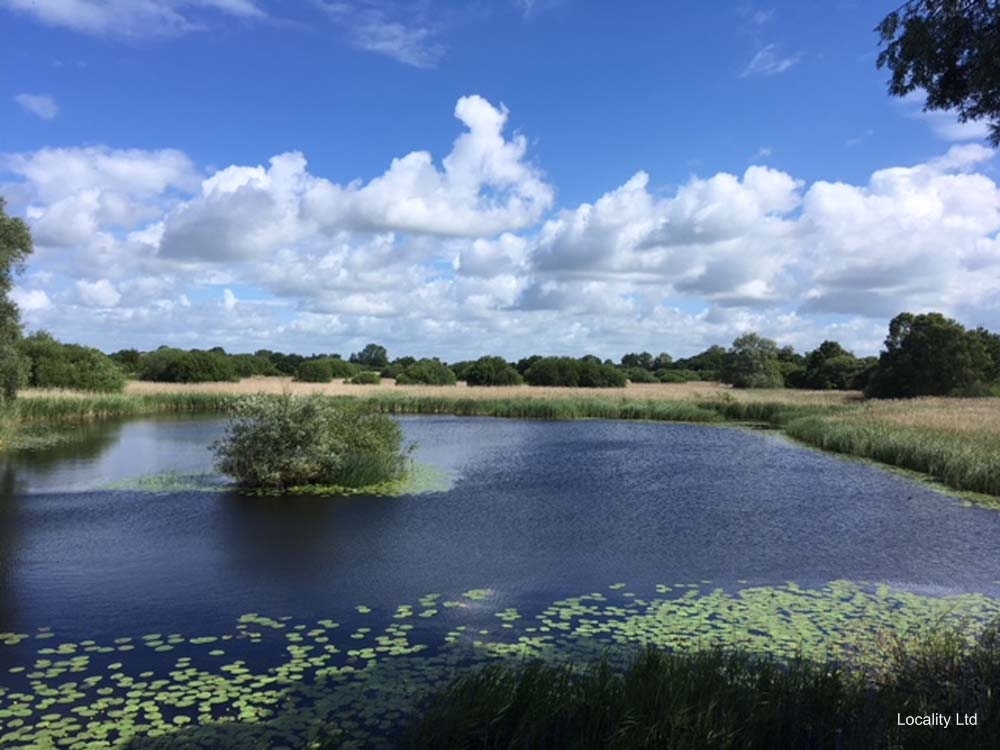 Holme Fen NNR contains birch woodland, heathland and acid grassland (Peterborough, Cambridgeshire)