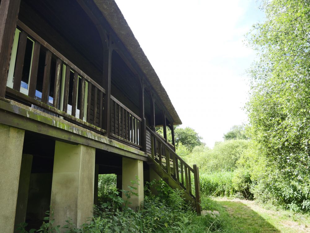 Holme Fen NNR contains birch woodland, heathland and acid grassland (Peterborough, Cambridgeshire)