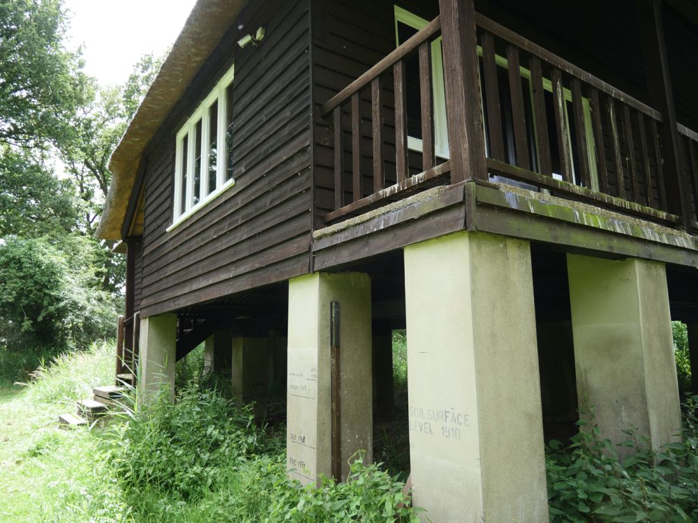 Holme Fen NNR contains birch woodland, heathland and acid grassland (Peterborough, Cambridgeshire)