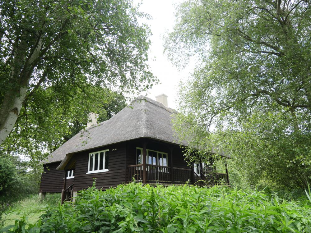 Holme Fen NNR contains birch woodland, heathland and acid grassland (Peterborough, Cambridgeshire)