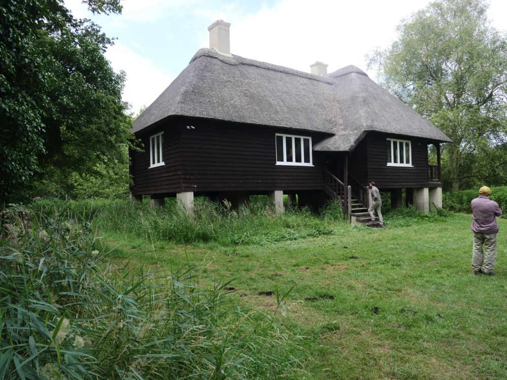 Holme Fen NNR contains birch woodland, heathland and acid grassland (Peterborough, Cambridgeshire)