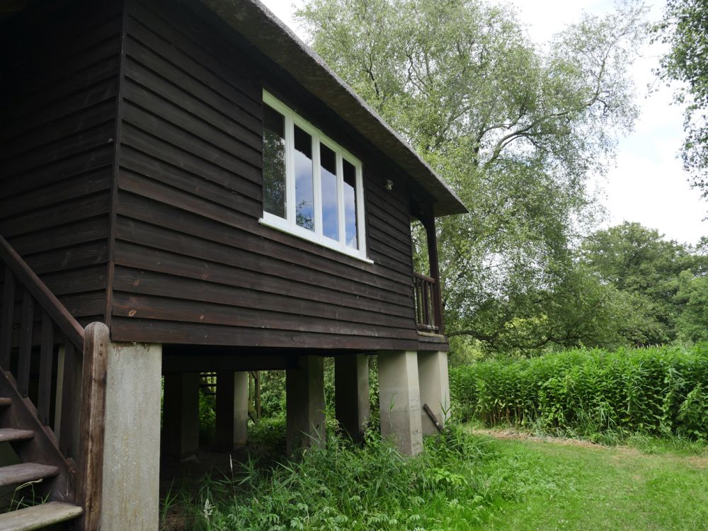 Holme Fen NNR contains birch woodland, heathland and acid grassland (Peterborough, Cambridgeshire)
