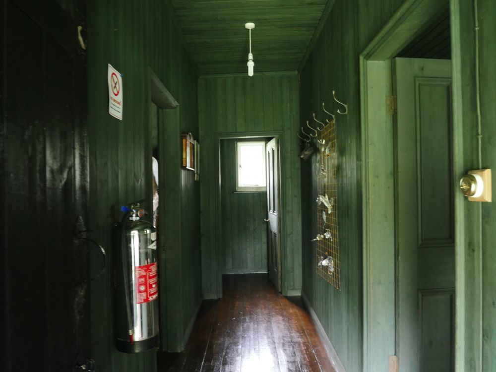 Holme Fen NNR contains birch woodland, heathland and acid grassland (Peterborough, Cambridgeshire)