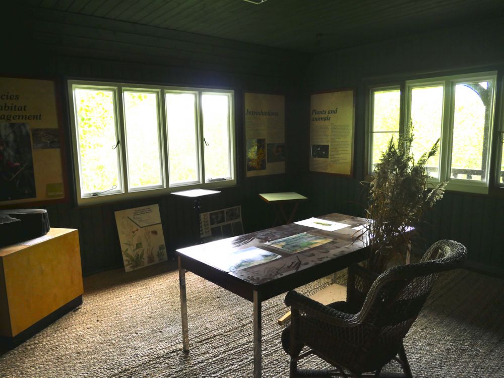 Holme Fen NNR contains birch woodland, heathland and acid grassland (Peterborough, Cambridgeshire)