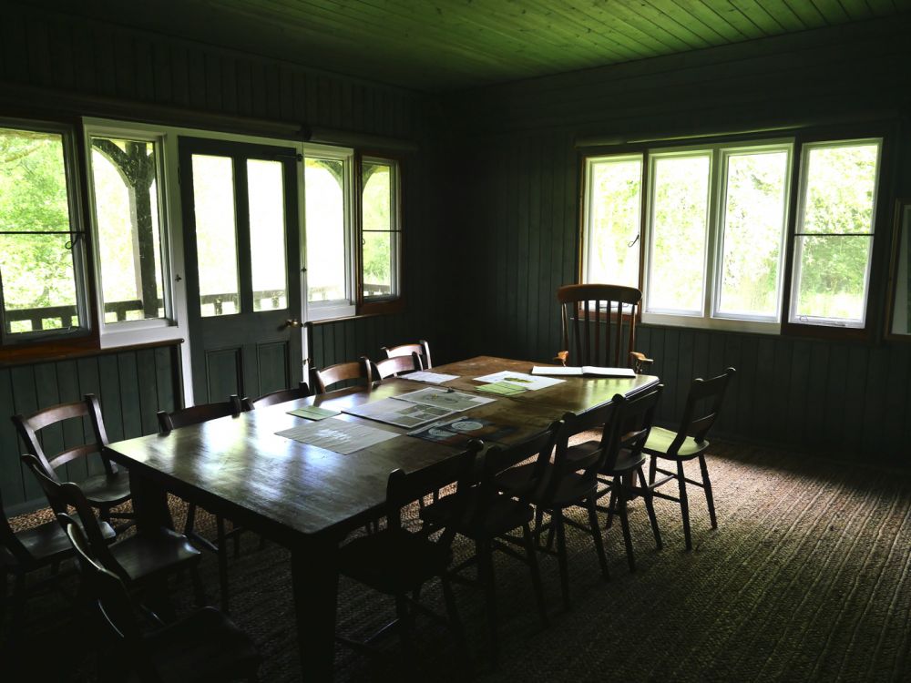 Holme Fen NNR contains birch woodland, heathland and acid grassland (Peterborough, Cambridgeshire)