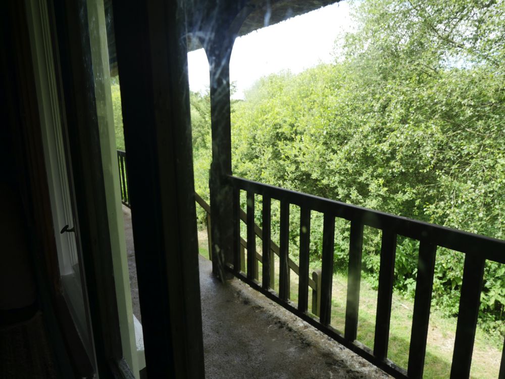 Holme Fen NNR contains birch woodland, heathland and acid grassland (Peterborough, Cambridgeshire)