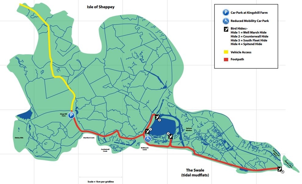 The Swale NNR  is a grazing marsh that supports significant populations of waterfowl. (Isle of Sheppey, Kent)