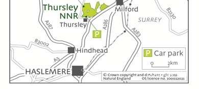 Thursley NNR comprises 325 hectares of lowland heath and woodland (Tursley, Surrey)