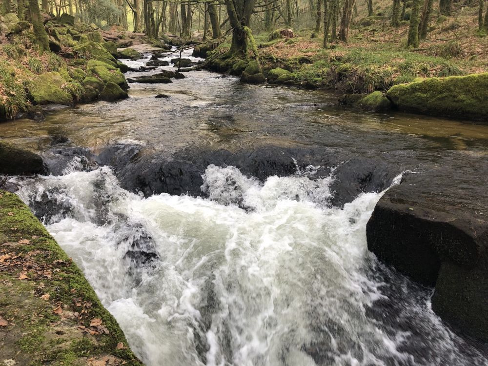 The River Fowey falls 90m at Golitha Falls (Liskeard, Cornwall)