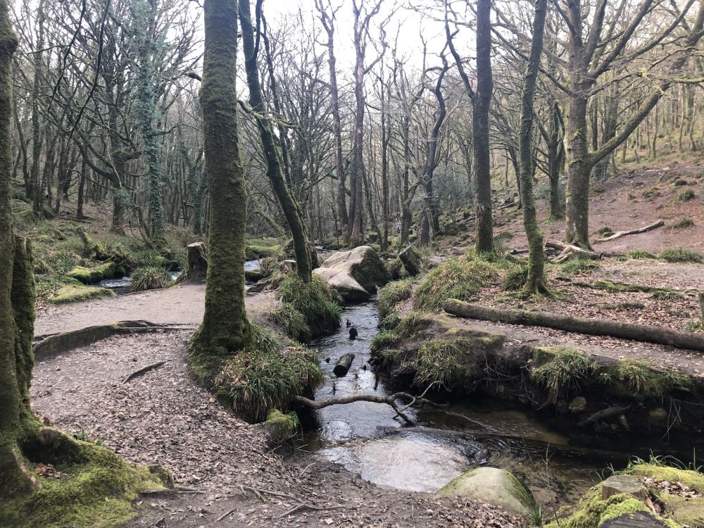 The River Fowey falls 90m at Golitha Falls (Liskeard, Cornwall)