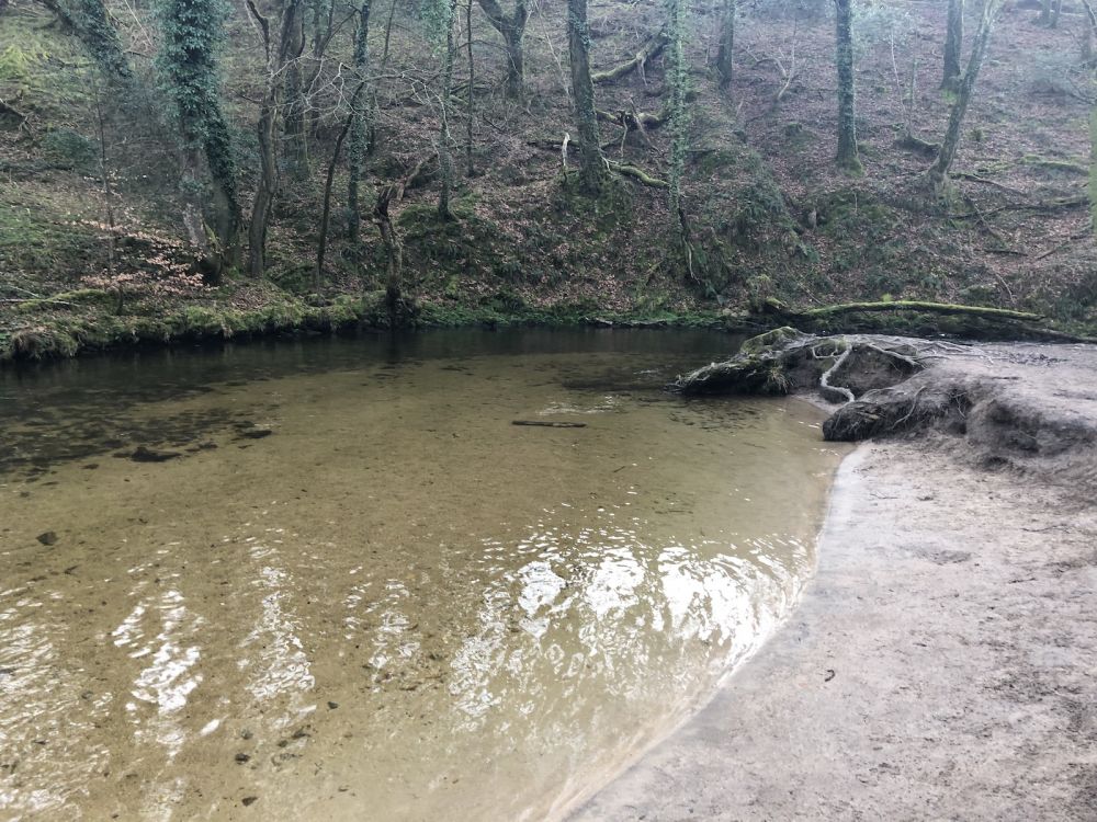 The River Fowey falls 90m at Golitha Falls (Liskeard, Cornwall)