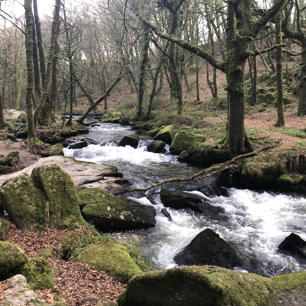 The River Fowey falls 90m at Golitha Falls (Liskeard, Cornwall)