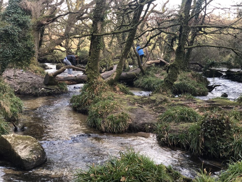 The River Fowey falls 90m at Golitha Falls (Liskeard, Cornwall)