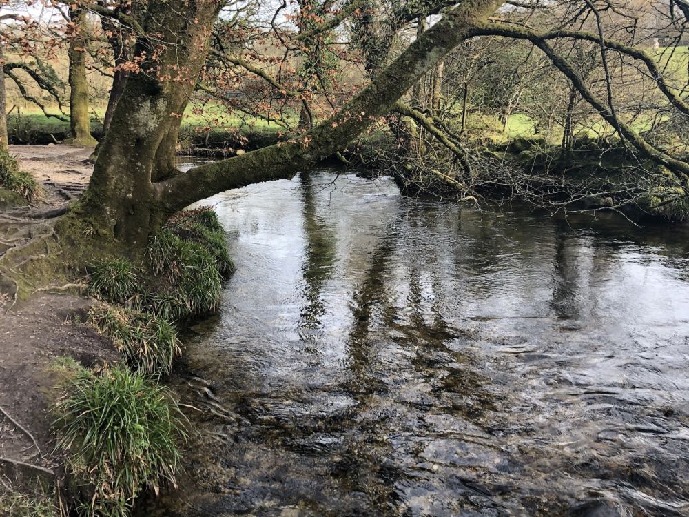 The River Fowey falls 90m at Golitha Falls (Liskeard, Cornwall)