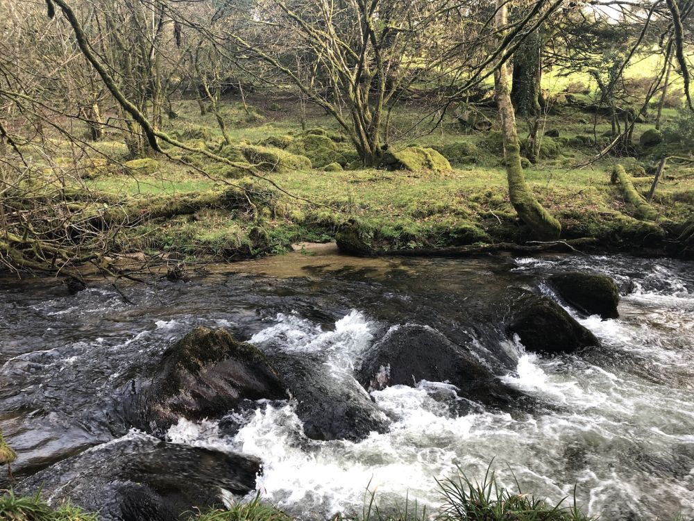 The River Fowey falls 90m at Golitha Falls (Liskeard, Cornwall)