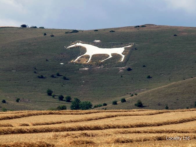 Pewsey Downs National Nature Reserve (Marlborough, Wiltshire)