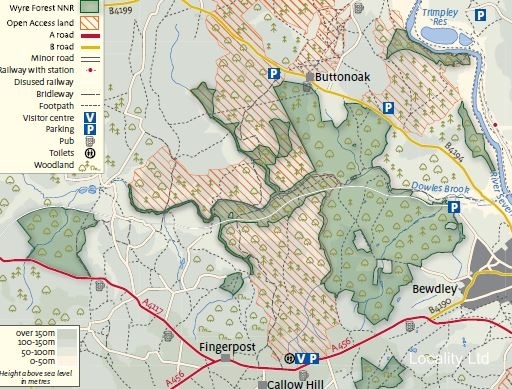 Wyre forest national nature reserve (Worcestershire)