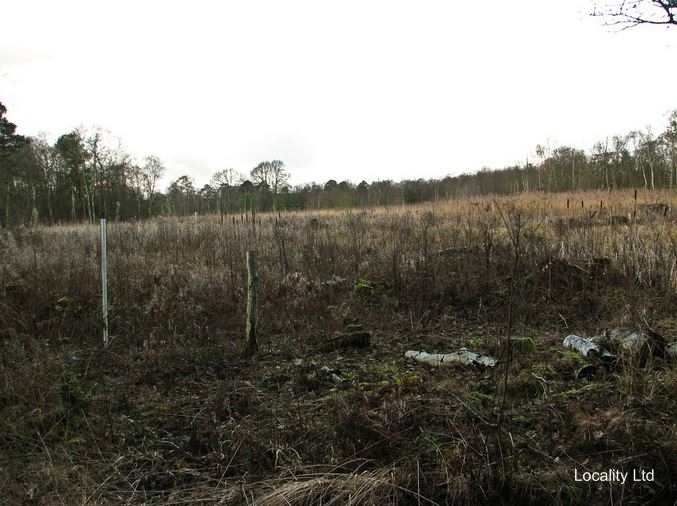 Wybunbury Moss National nature reserve (Cheshire)