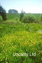 Wybunbury Moss National nature reserve (Cheshire)