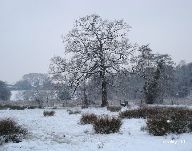 Wybunbury Moss National nature reserve (Cheshire)