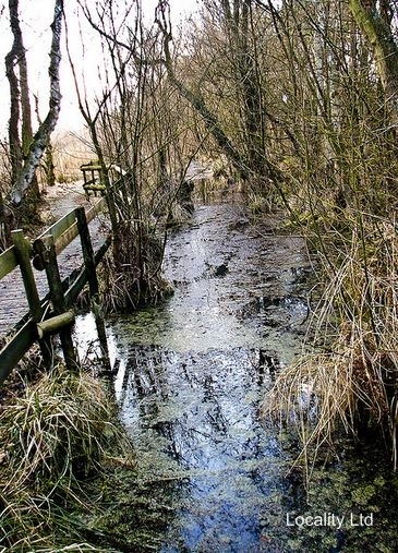Wybunbury Moss National nature reserve (Cheshire)