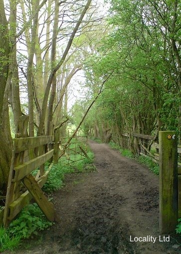 Wybunbury Moss National nature reserve (Cheshire)