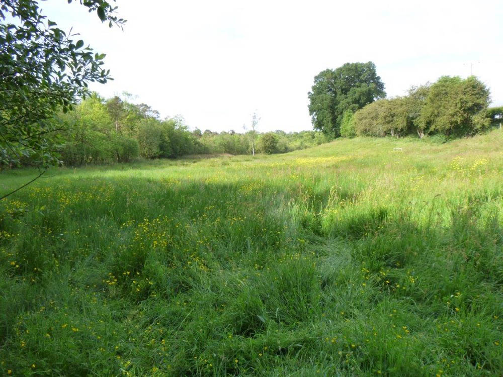 Wybunbury Moss National nature reserve (Cheshire)