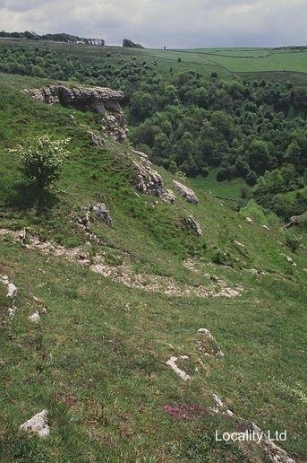 Derbyshire Dales National Nature Reserve (Bakewell, Derbyshire)