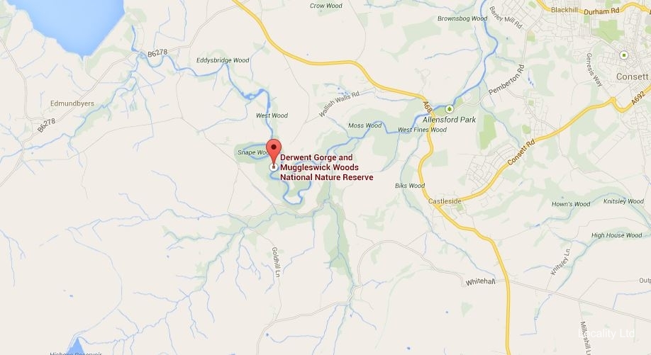 Derwent Gorge and Muggleswick Woods  NNR nature reserve (Durham)