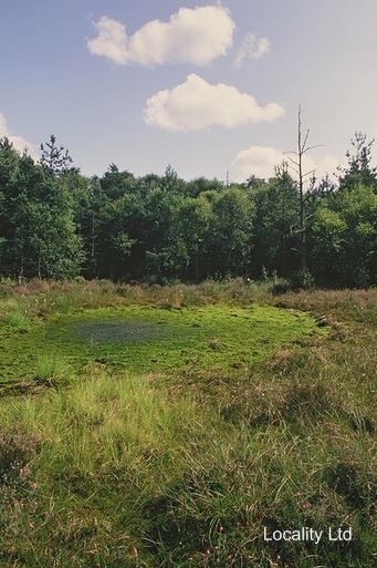 Chartley Moss  NNR nature reserve (Staffordshire)