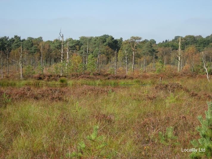 Chartley Moss  NNR nature reserve (Staffordshire)