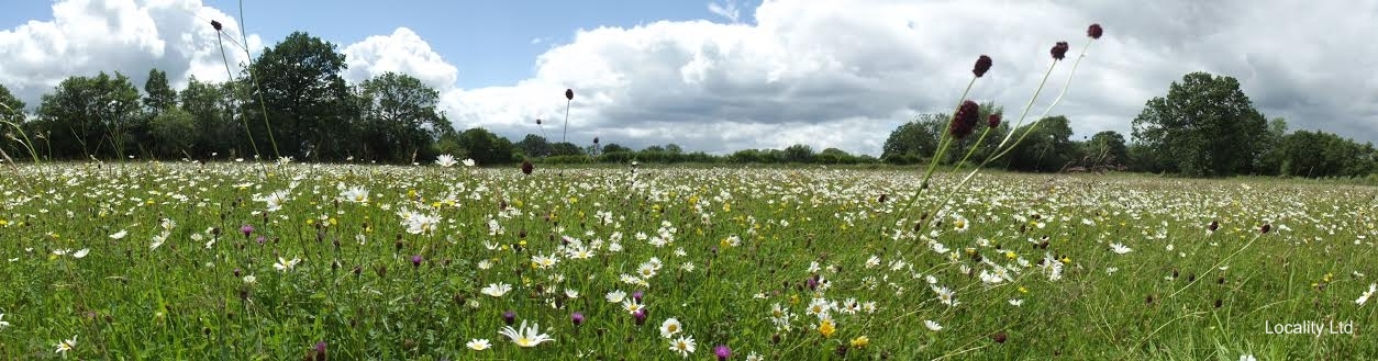 Mottey Meadows National Nature Reserve (Stafford, Staffordshire)