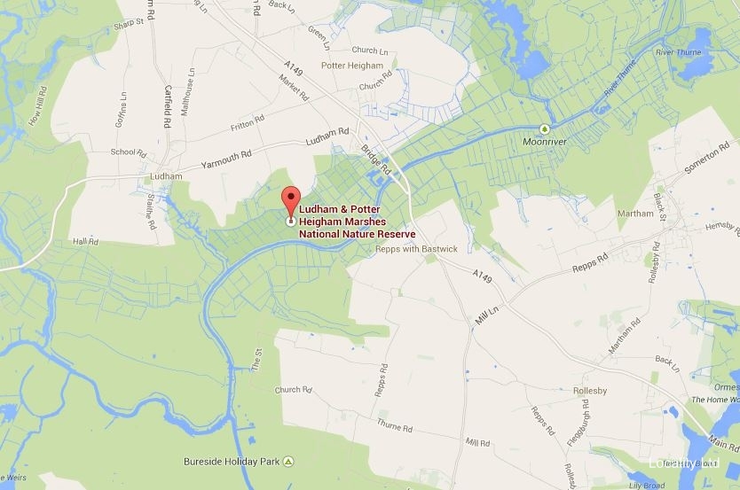 Ludham & Potter Heigham Marshes NNR (Norfolk)