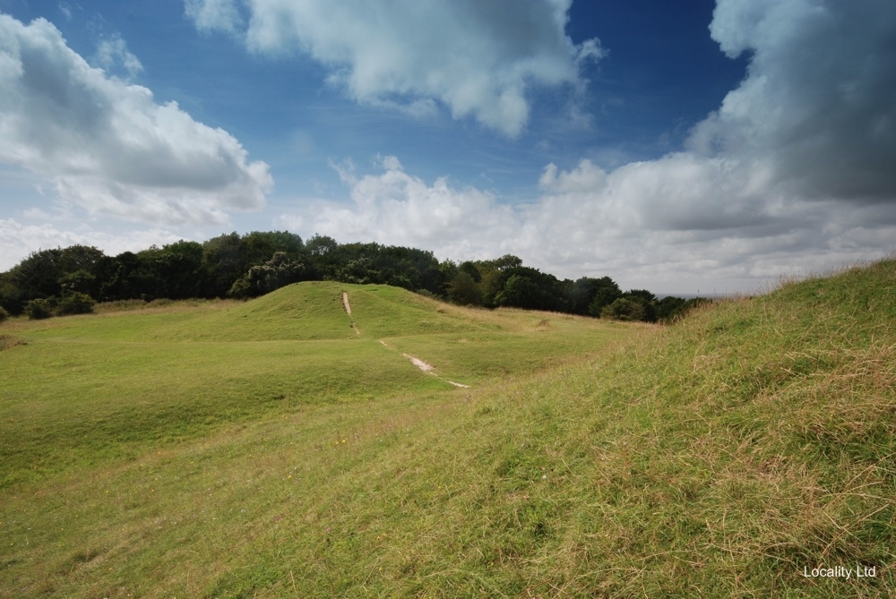 The oldest Yew trees in the UK (Chichester, West Sussex)