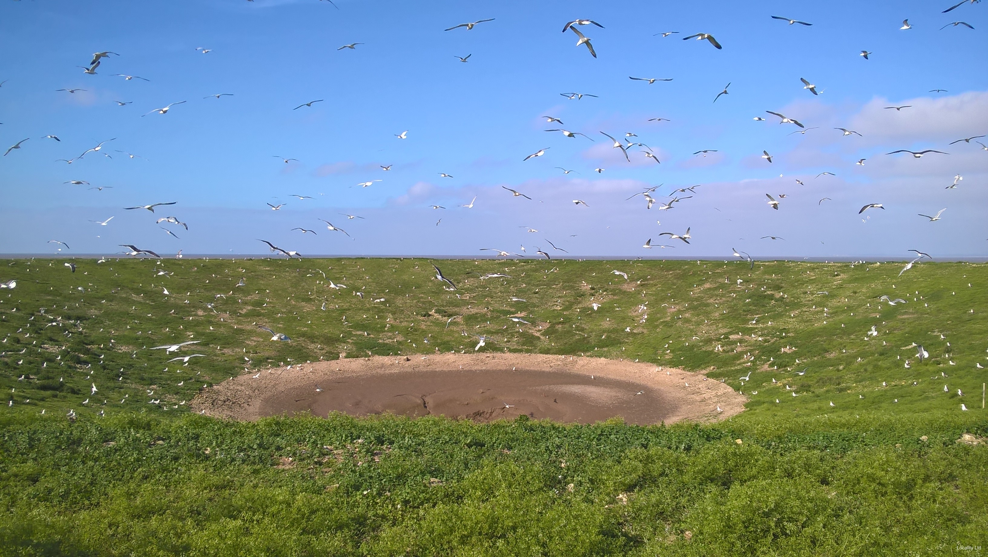 The Wash National Nature Reserve (Norfolk)