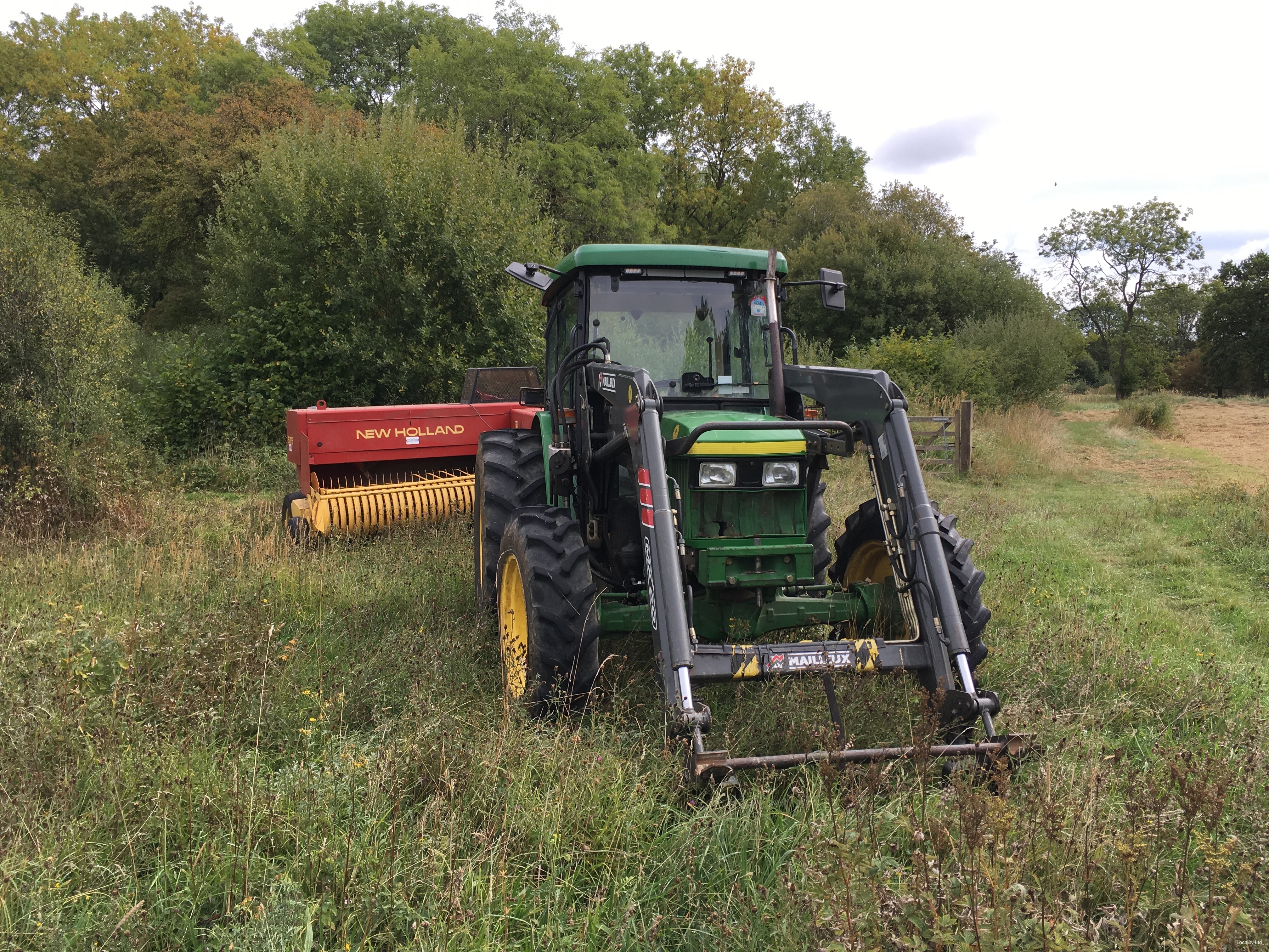 Ancient woodland, open grassland and overgrown scrub areas, and a few ponds. (Peterborough, Cambridgeshire)