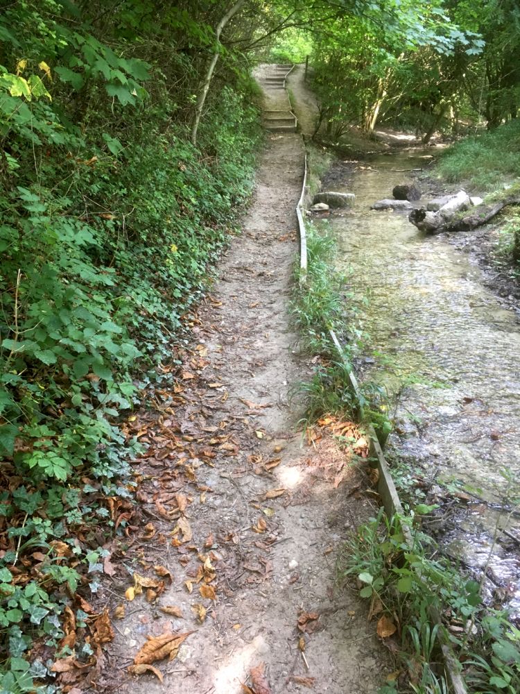 Chalk grassland, woodland and valley with steep sided slopes (Barton Hills NNR, Bedfordshire)