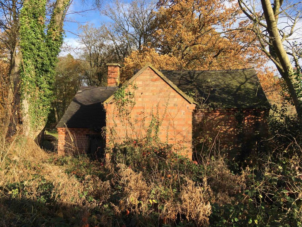 Aqualate Mere National Nature Reserve - a beautiful wetland spread across 210 hectares.