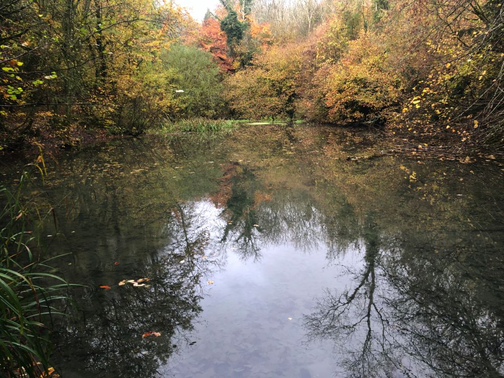 Ashford Hangers Nature reserve film and photoshoot location (Near petersfield, Hampshire)