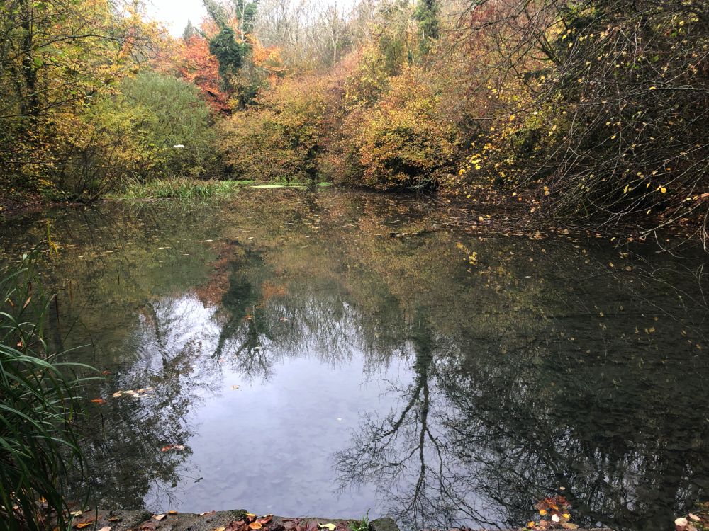 Ashford Hangers Nature reserve film and photoshoot location (Near petersfield, Hampshire)