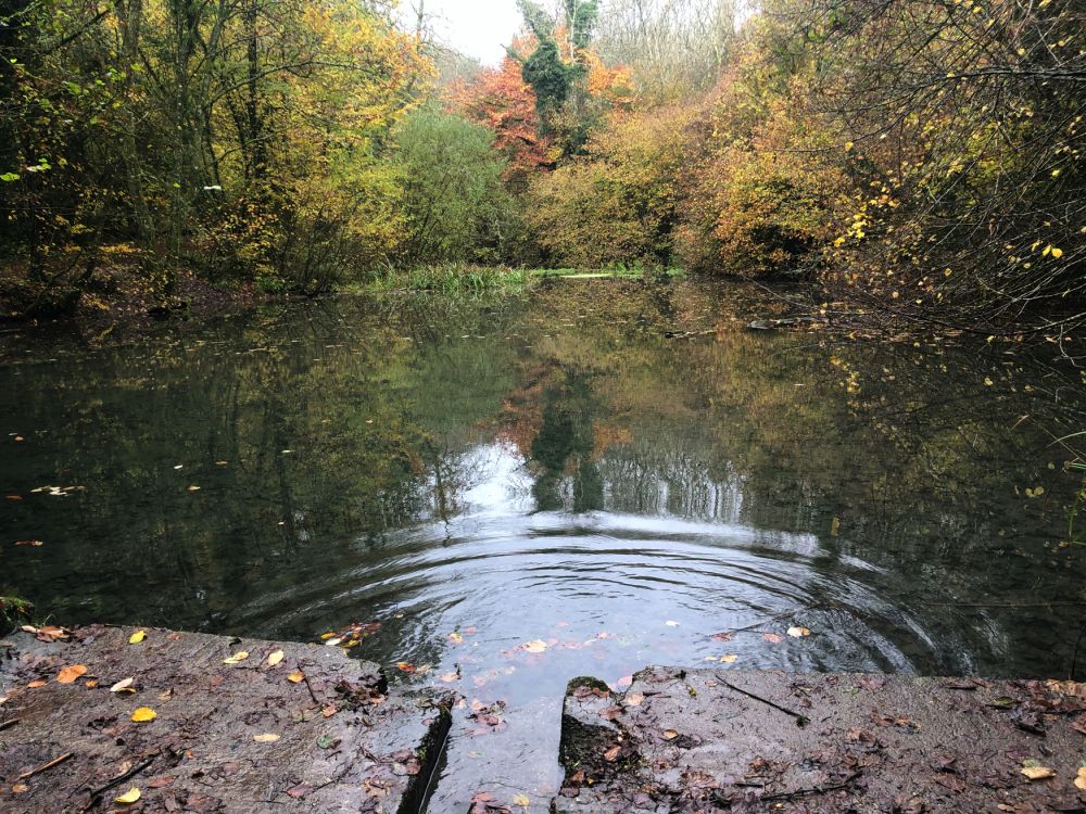 Ashford Hangers Nature reserve film and photoshoot location (Near petersfield, Hampshire)